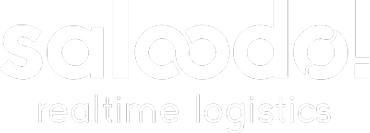 Saloodo Logo